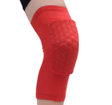 Rodillera corta con protección Pad (knee pad) - woesports